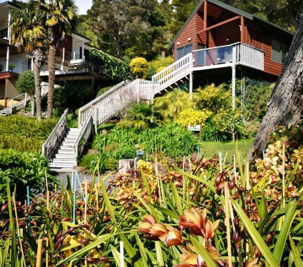 Abri Apartments | Luxury Accommodation | Bay of Islands | Paihia | Garden