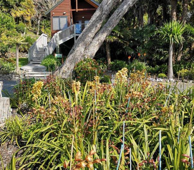 Abri Apartments | Luxury Accommodation | Bay of Islands | Paihia | Garden