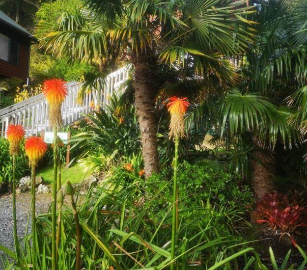 Abri Apartments | Luxury Accommodation | Bay of Islands | Paihia | Garden