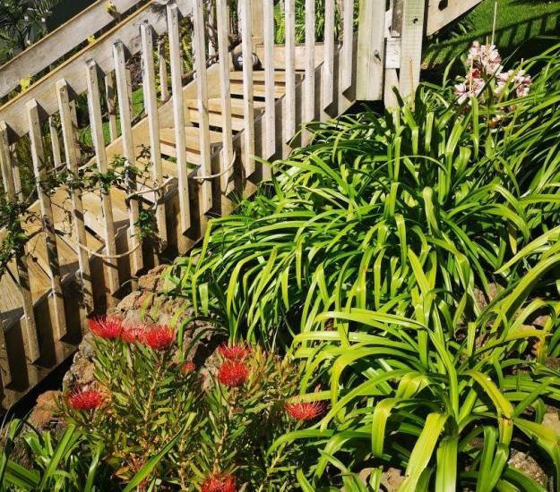 Abri Apartments | Luxury Accommodation | Bay of Islands | Paihia | Garden