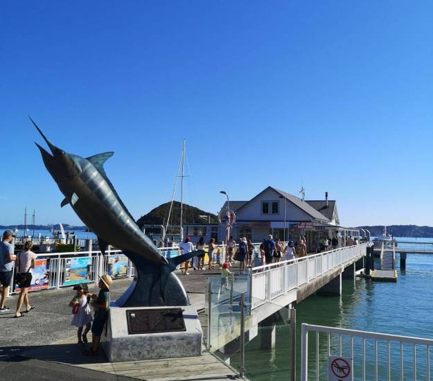 Bay of Islands Information